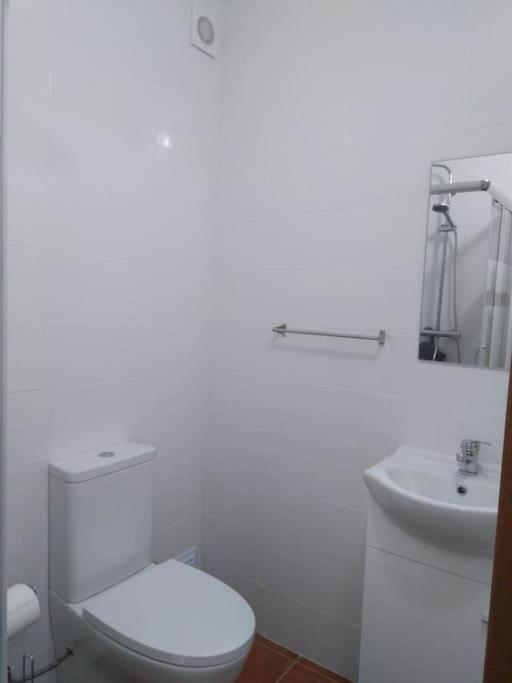 Casa Dos Noveloes Villa Ponta Delgada  Ngoại thất bức ảnh